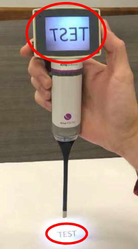 足球博彩网站