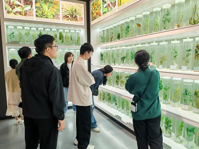 足球博彩网站
