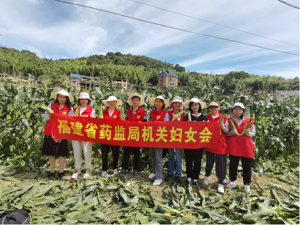 足球博彩网站