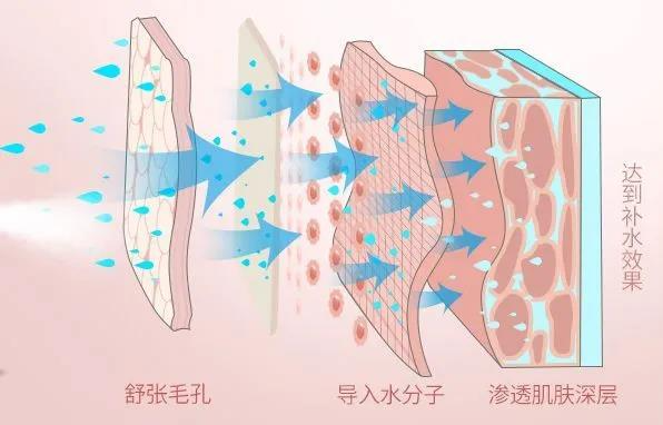足球博彩网站
