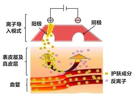 足球博彩网站