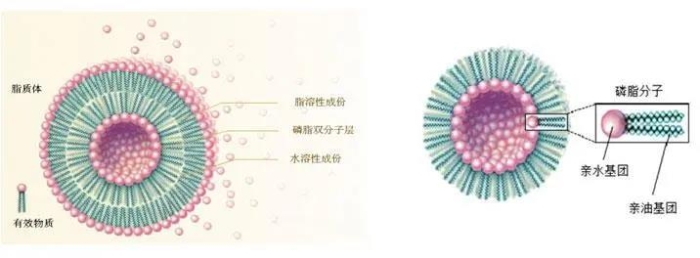 足球博彩网站