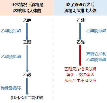 足球博彩网站