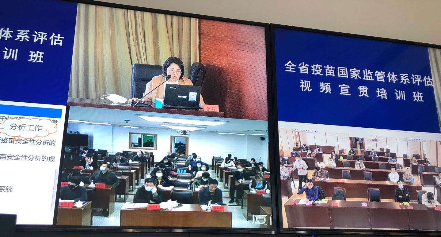 足球博彩网站